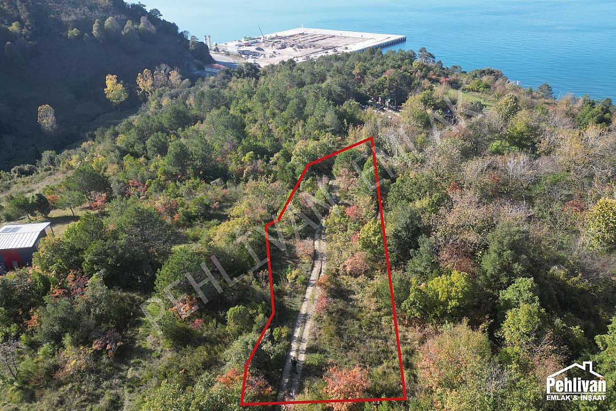 Alaplı Kılçak 2346 m2 Satılık Yatırımlık Arsa