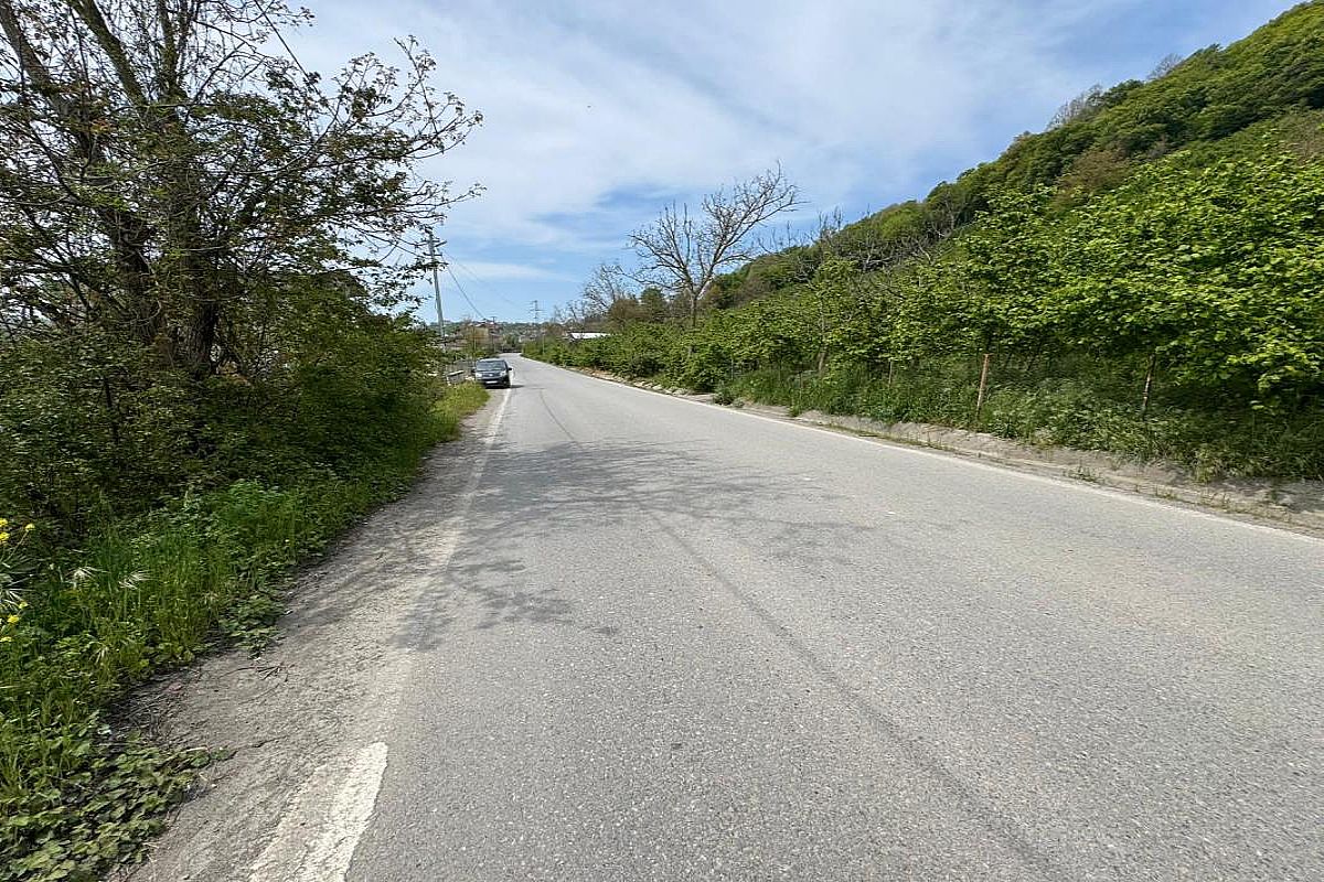 Alaplı Molabey Yolu Üzerinde ACİL Satılık Ev Yeri