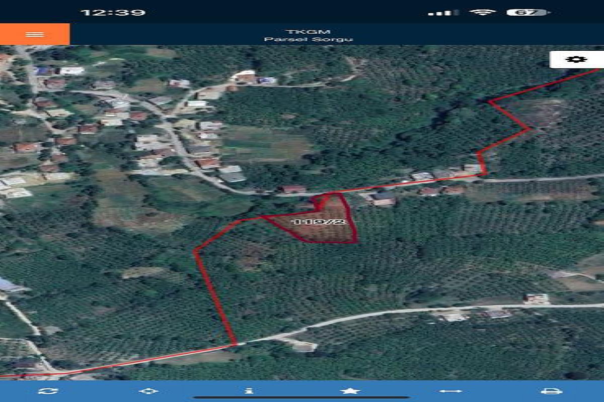 Alaplı Fındıklı Köyü Satılık Arsa